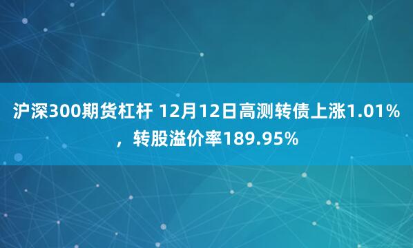 沪深300期货杠杆 12月12日高测转债上涨1.01%，转股溢价率189.95%