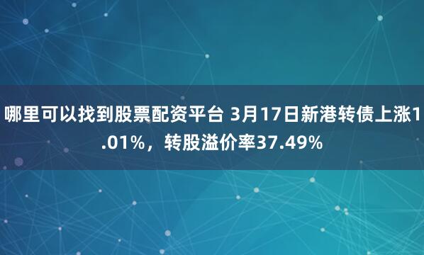 哪里可以找到股票配资平台 3月17日新港转债上涨1.01%，转股溢价率37.49%