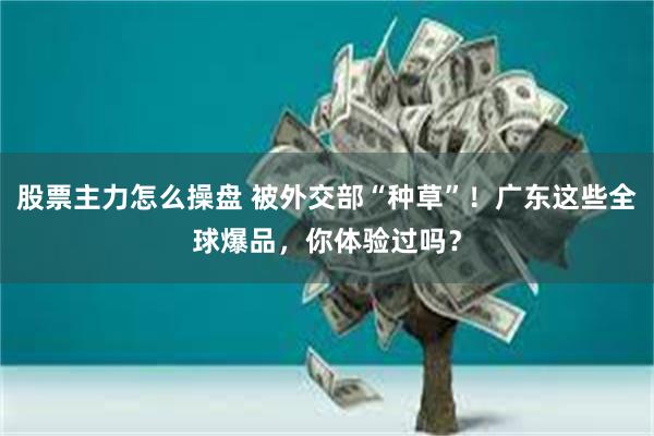 股票主力怎么操盘 被外交部“种草”！广东这些全球爆品，你体验过吗？
