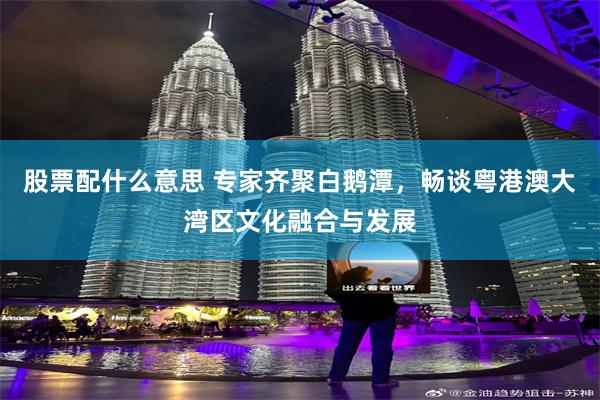 股票配什么意思 专家齐聚白鹅潭，畅谈粤港澳大湾区文化融合与发展