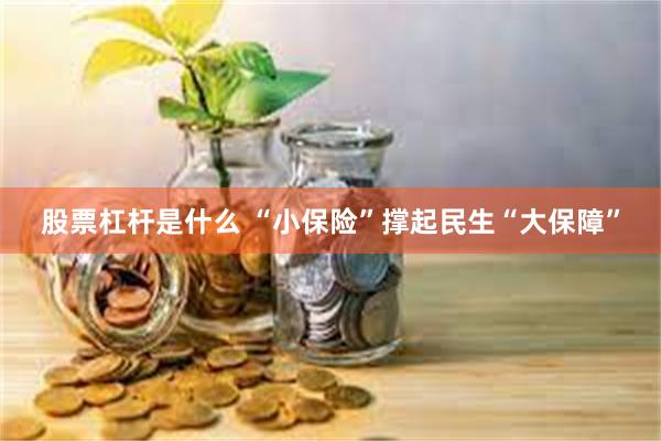 股票杠杆是什么 “小保险”撑起民生“大保障”