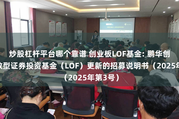 炒股杠杆平台哪个靠谱 创业板LOF基金: 鹏华创业板指数型证券投资基金(LOF)更新的招募说明书(2025年第3号)