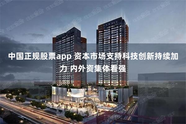 中国正规股票app 资本市场支持科技创新持续加力 内外资集体看强