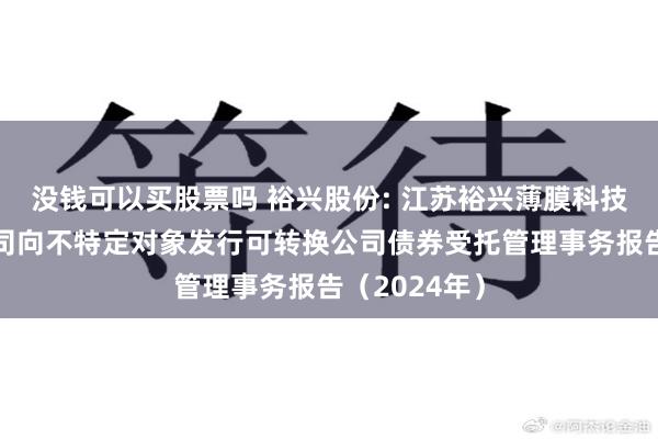 没钱可以买股票吗 裕兴股份: 江苏裕兴薄膜科技股份有限公司向不特定对象发行可转换公司债券受托管理事务报告(2024年)