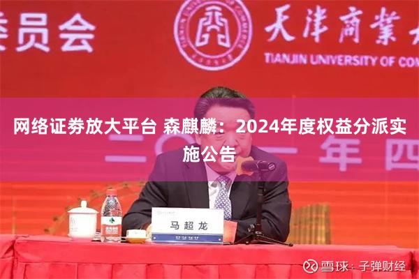 网络证劵放大平台 森麒麟：2024年度权益分派实施公告