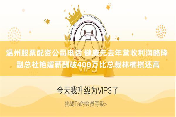 温州股票配资公司电话 健康元去年营收利润略降 副总杜艳媚薪酬破400万比总裁林楠棋还高
